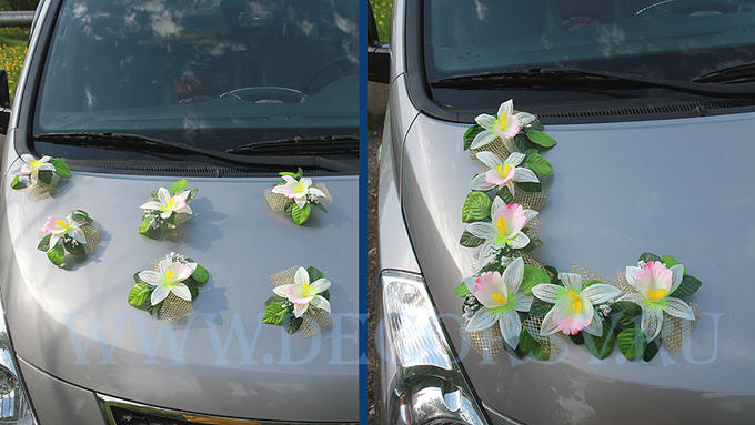 ЦУМ-2-БрОрх Цветок на присоске (бело-розовю орхидея)
