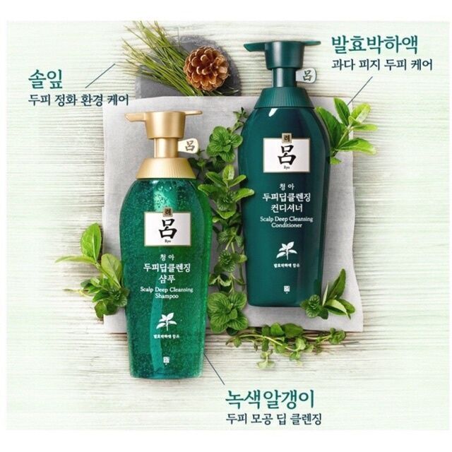 Шампунь для глубокого очищения жирной кожи головы Ryo CHEONGAHMO SCALP ...