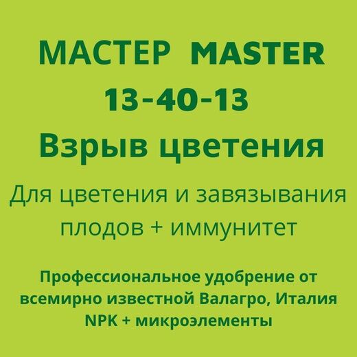Мастер MASTER 13-40-13, Валагро. 200 гр.