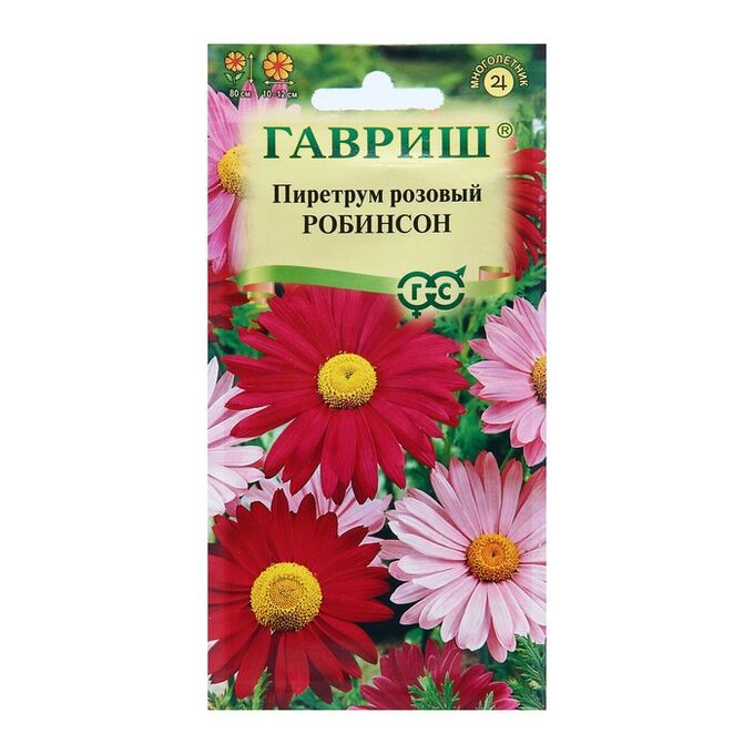 Гавриш пиретрум золотой шар