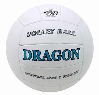 20034/1111 Мяч волейбольный DRAGON
