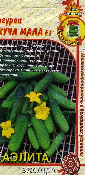 огурец сорт муромский. семена аэлита огурец маринда f1 10шт,. огурец тимоша f1 аэлита. название семян огурцов маленьких. огурец куча мала.