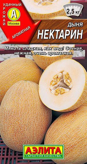 Аэлита Дыня Нектарин
