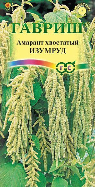 Гавриш Амарант Изумруд (хвостатый)