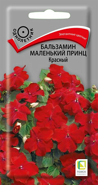Поиск Бальзамин Маленький принц Красный