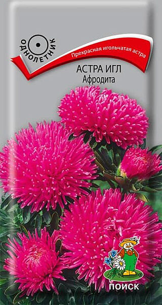 Поиск Астра Игл Афродита