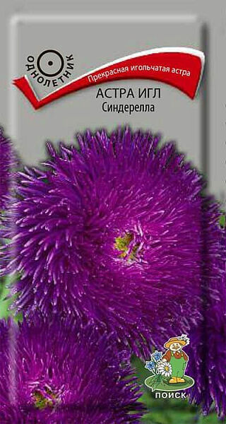 Поиск Астра Игл Синдерелла