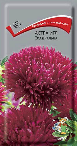 Поиск Астра Игл Эсмеральда