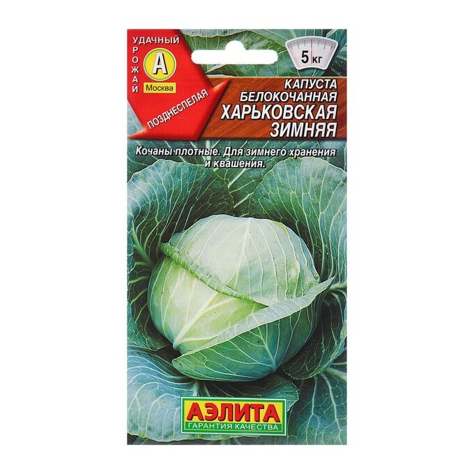 Капуста харьковская зимняя описание сорта фото СИМА-ЛЕНД / Семена Капуста б/к Харьковская зимняя П Ц/П 0,5г Семена капусты и мо
