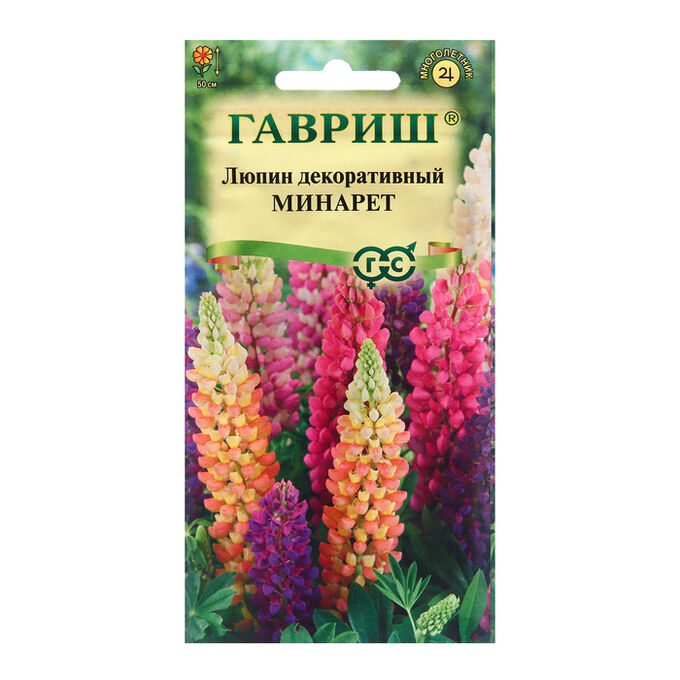 Люпин многолетний графиня