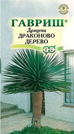 Драцена Драконово Дерево 3шт Гавриш/ЦВ