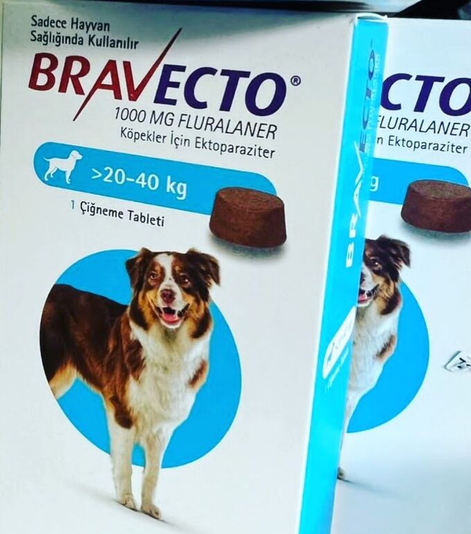 Средство от блох и клещей для собак | Bravecto. Средства для ухода за ...