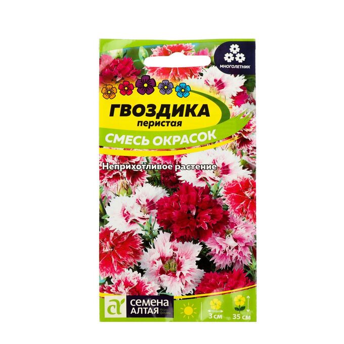 Семена гвоздики цветов. Гвоздика гренадин леди в черном. Гвоздика турецкая аллегро. Семена гвоздики цветов. Гвоздика турецкая байер.