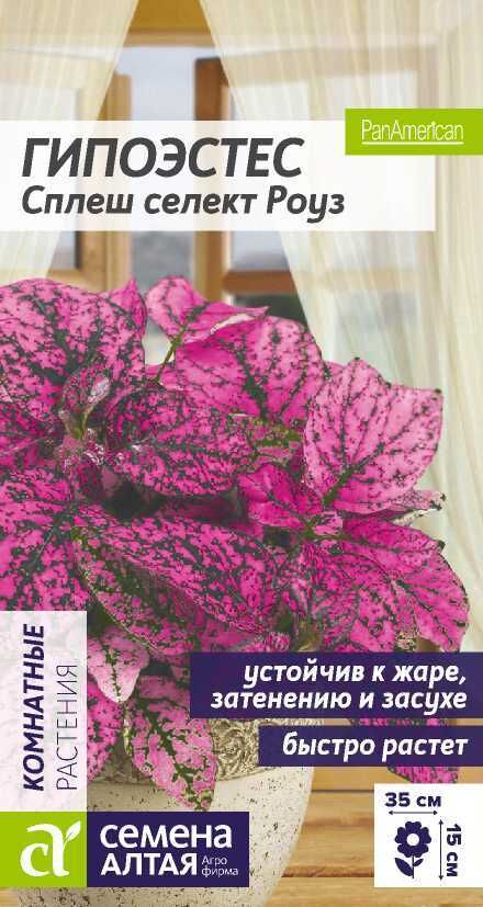 Семена Алтая Гипоэстес Сплеш селект Роуз/Сем Алт/цп 5 шт. многолетник НОВИНКА