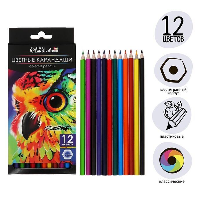 Карандаши цветные 12 цветов Calligrata Soft, заточенные, шестигранные, пластиковые, картонная упаковка, европодвес