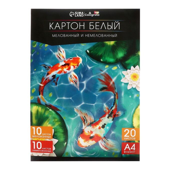 Calligrata Картон белый А4, 20 листов: 10 листов мелованного плотность 200г/м2, 10 листов немелованного