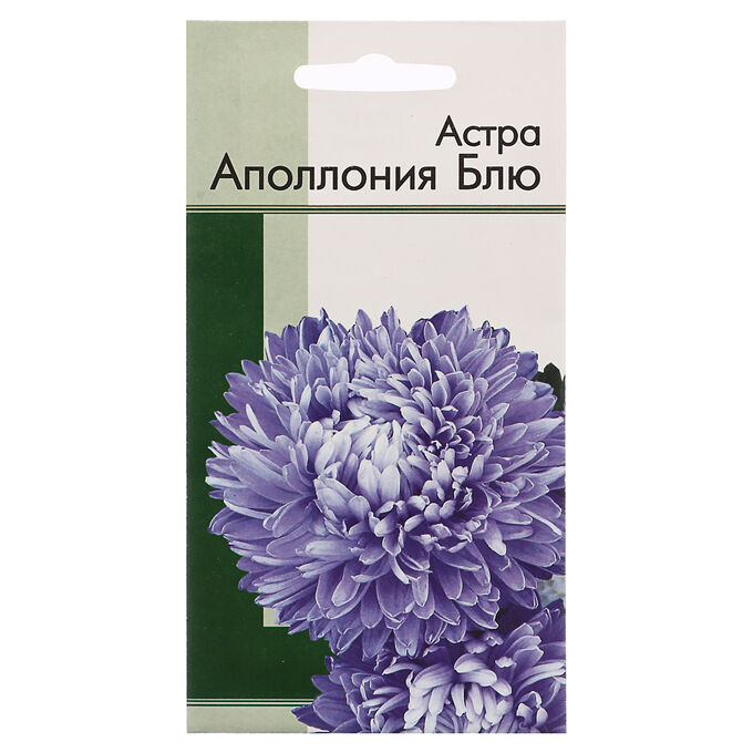 INBLOOM Семена Астра хризантемовидная Апполония Блю 0,2 гр