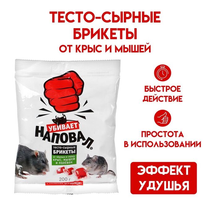Тесто сырные брикеты. Тесто сырные брикеты. Тесто сырные брикеты. Тесто сырные брикеты. Тесто сырные брикеты.