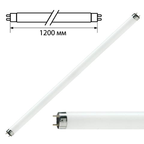 Лампа люминесцентная PHILIPS TL-D 36W/33-640, 36Вт, цокольG1