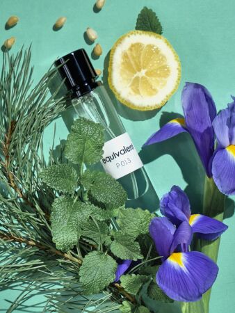 Ponti Parfum Духи группы &quot;Экстра&quot; для женщин серии &quot;EQUIVALENT&quot; P013