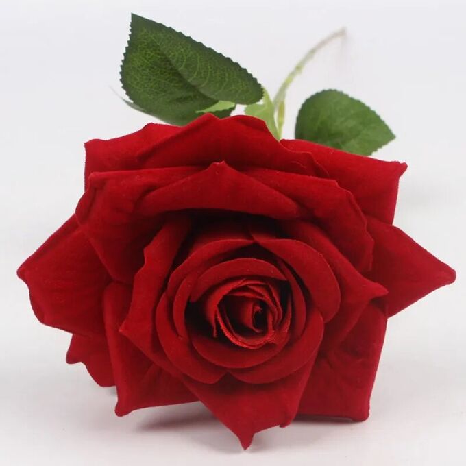 Artflowers-sib Цветок бархатная роза, 67 см