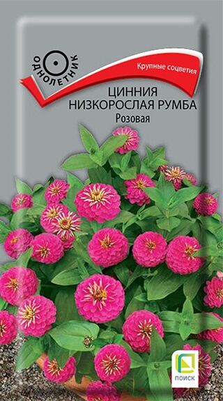 Поиск Цинния Румба Розовая низкорослая (Код: 91547)