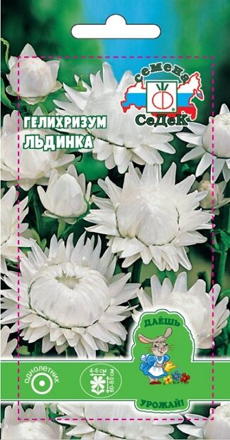 Седек Гелихризум Льдинка ДУ (Код: 91631)