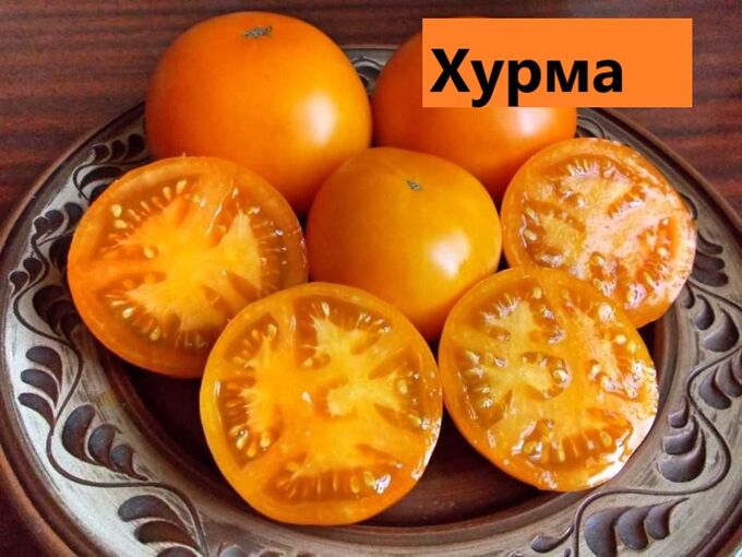 Рассада от Жени. Хурма салатный (желтый)