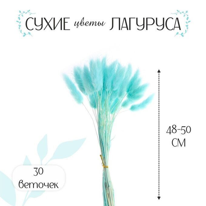 СИМА-ЛЕНД Сухие цветы лагуруса, набор 30 шт., цвет голубой