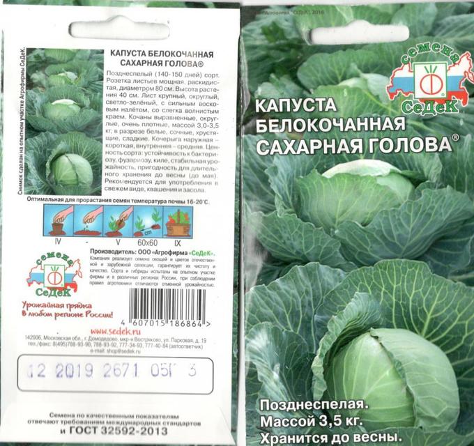 Капуста сахарная описание сорта фото отзывы Капуста Сахарная Голова б/к 0,5г. СЕДЕК Капуста. Семена овощей