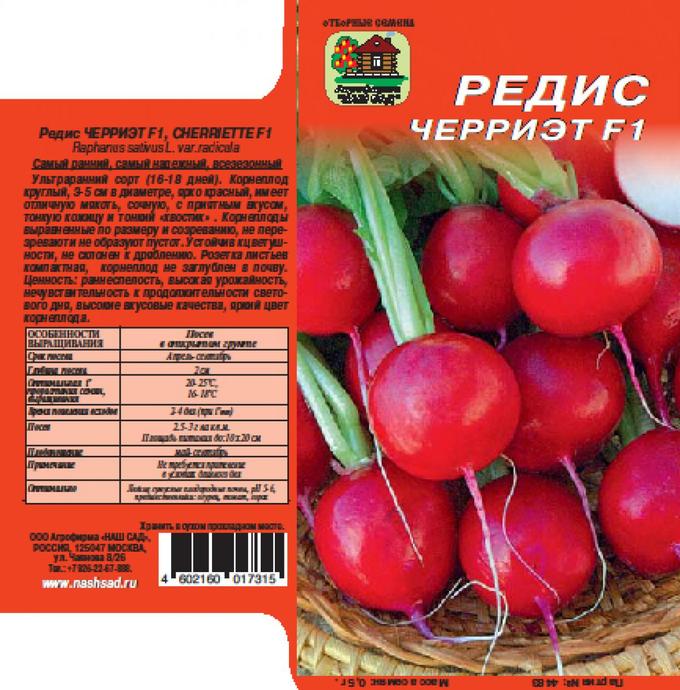 Редис сорта фото отзывы