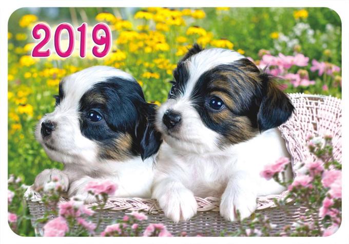 ЛиС Карманный календарь 2019 с глиттером &quot;Собаки&quot;