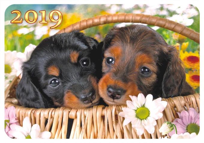 ЛиС Карманный календарь 2019 с глиттером &quot;Собаки&quot;