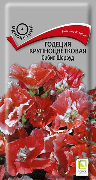 Поиск Годеция крупноцветковая Сибил Шервуд