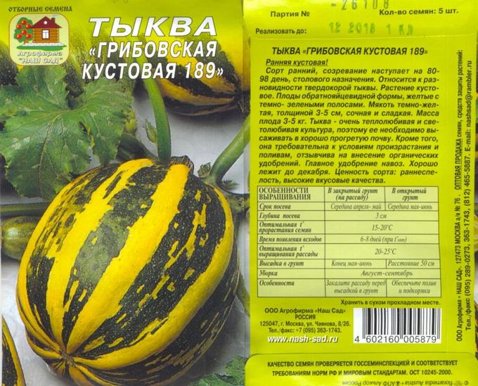 Кустовая тыква фото описание