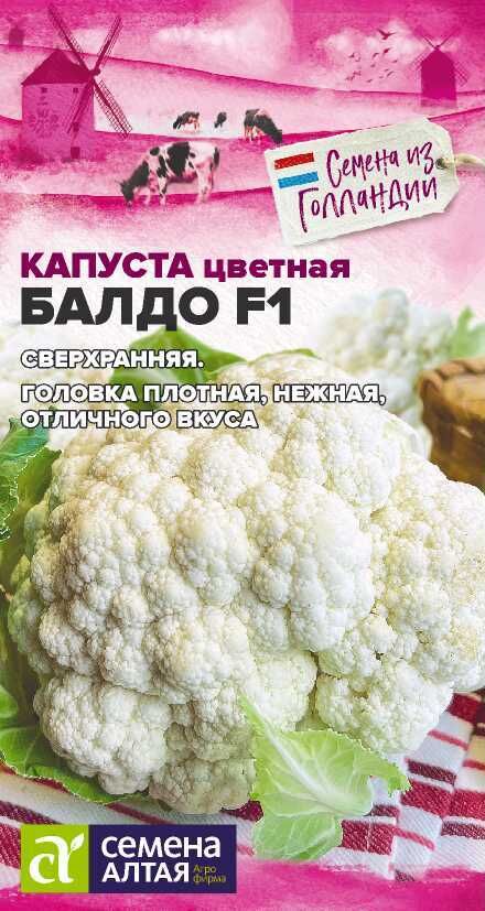 Голландская цветная капуста