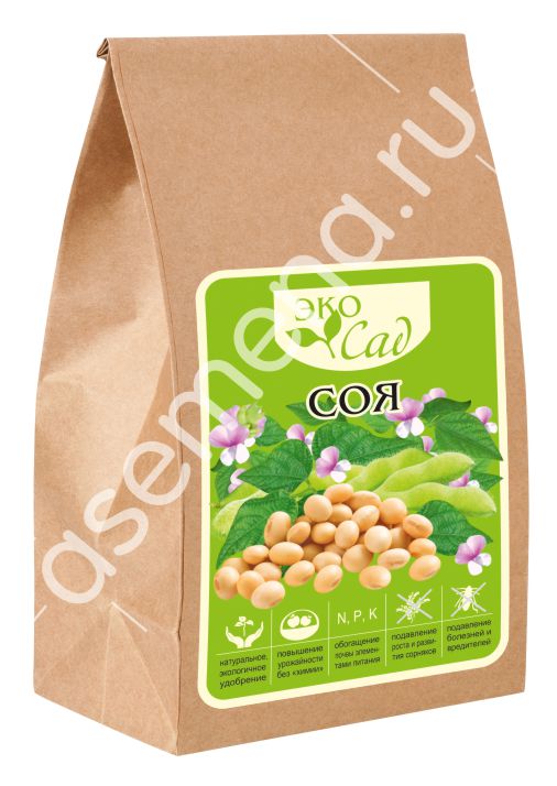 сей сой. сой фонг блич. рамён японский. вакидзаси блич сой фон. вок быстрого приготовления sen soy.