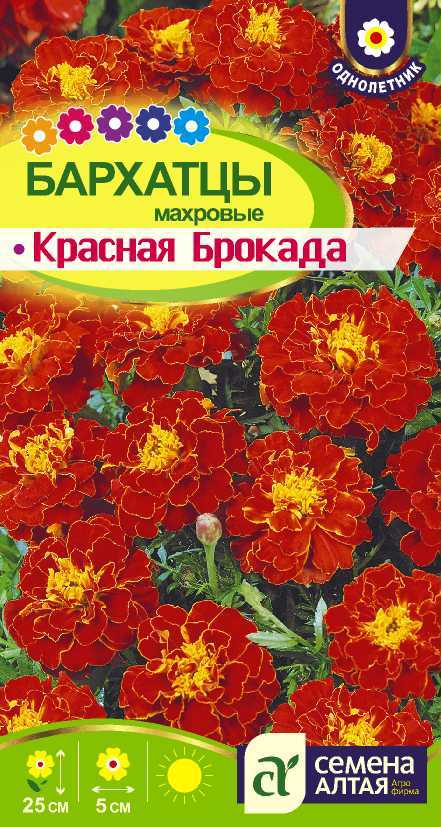 Бархатцы отклоненные Брокада испанская
