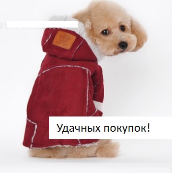Пальто с капюшоном для собаки