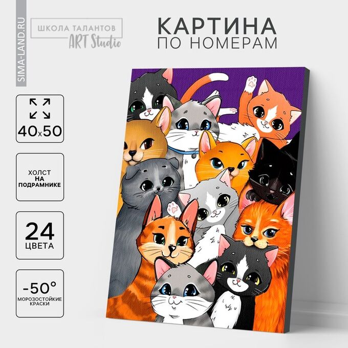 Школа талантов Картина по номерам на холсте с подрамником «Множество котиков», 40 х 50 см