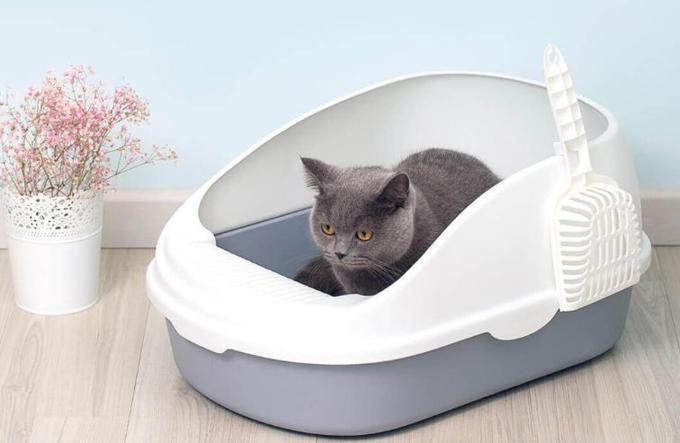 Кошачий туалет XIAOMI SEMI-OPEN CAT LITTER