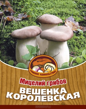 Грибы Мицелий Вешенка Королевская (16 палочек)