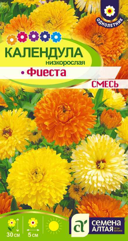 Календула низкорослая Фиеста оранжевая