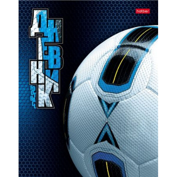 Hatber Дневник 1-11 класс (твердая обложка) &quot;Мир футбола&quot; (085908) 16960 Хатбер