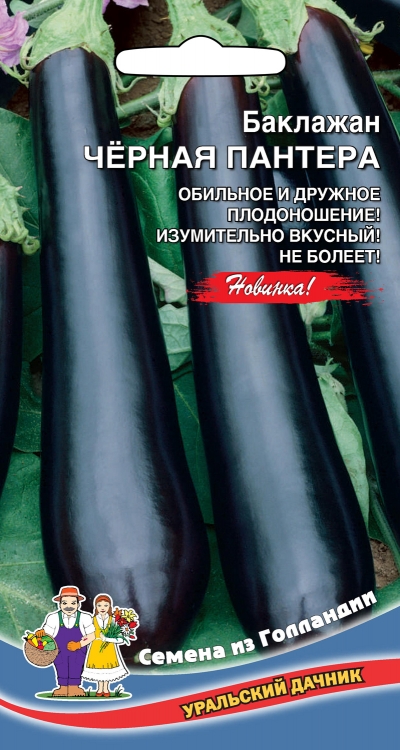 Баклажан мурзик отзывы фото Баклажан ЧЁРНАЯ ПАНТЕРА Баклажан. Семена овощей