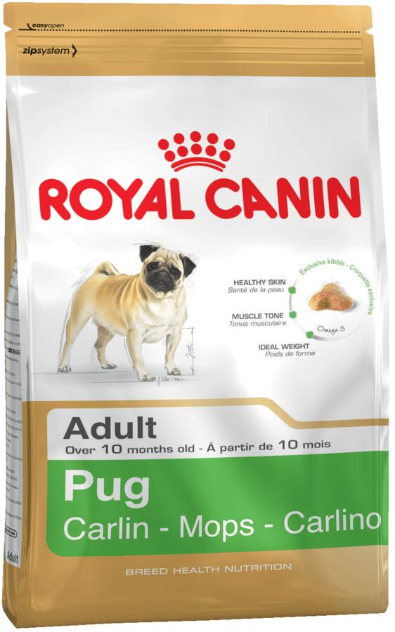 PUG ADULT (МОПС ЭДАЛТ)