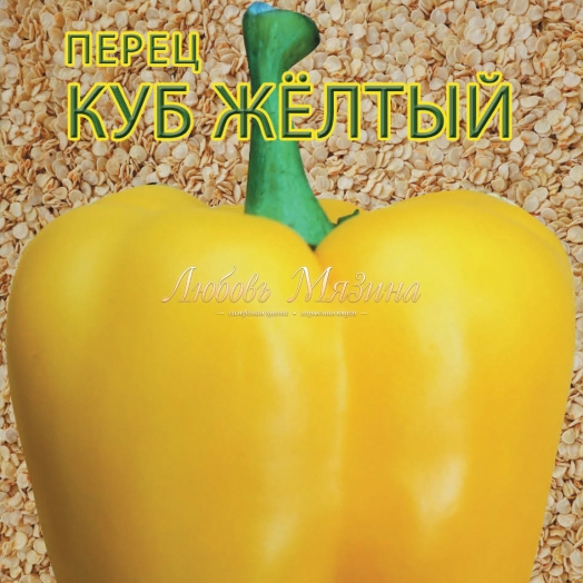 Перец желтый куб описание сорта
