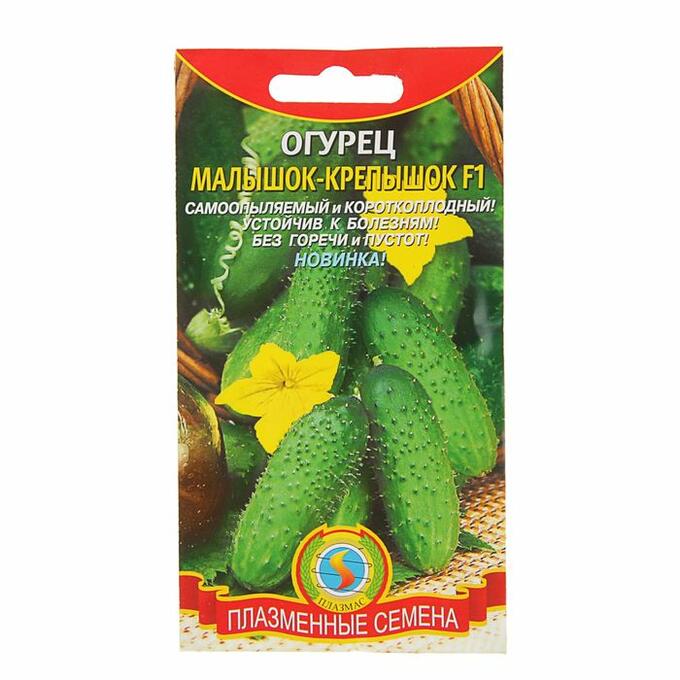 Огурец малышок фото