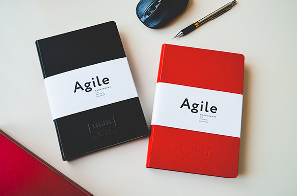 Agile ежедневник. Ежедневник екатерины ленгольд спринт. Agile‑ежедневник для личного развития», катерина ленгольд. Ежедневник космос от екатерины ленгольд. Agile ежедневник.