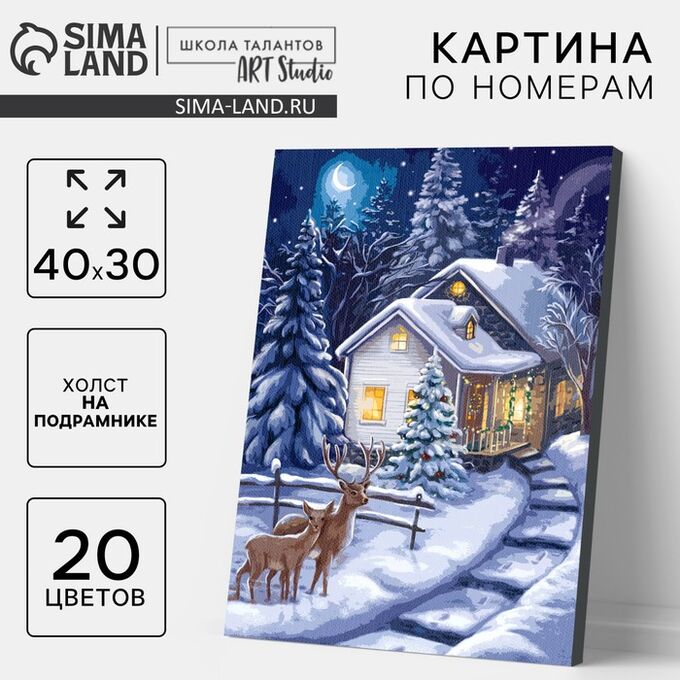 Школа талантов Картина по номерам на новый год на холсте с подрамником «Зимняя ночь», 40x30 см